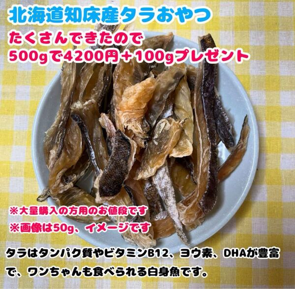 【北海道知床産無添加】鱈おやつ500g+100gプレゼント中 犬 おやつ