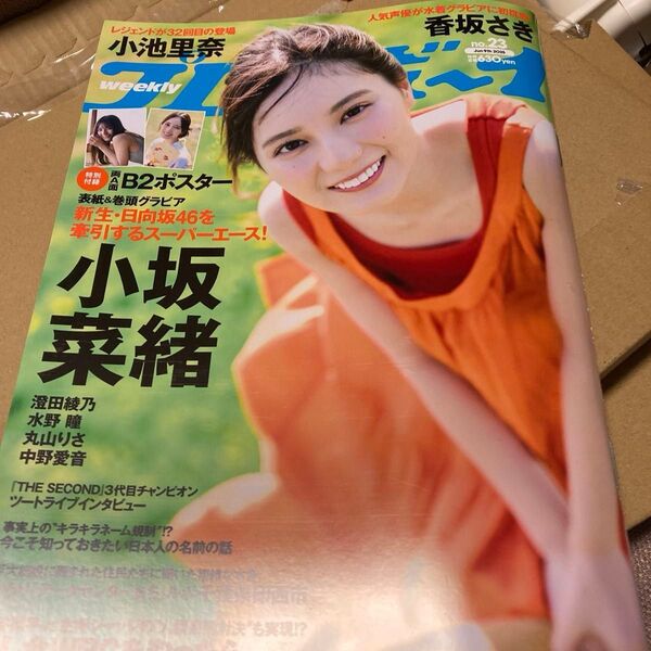 週刊プレイボーイ 2025年6月9日号 (集英社)