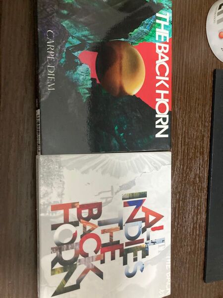 THE BACK HORN CD 2枚セット