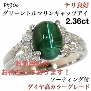 グリーン トルマリンキャッツアイ Pt900 ダイヤモンド ダイヤ リング 指輪