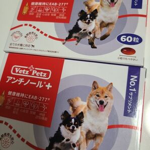アンチノールプラス60粒×2箱
