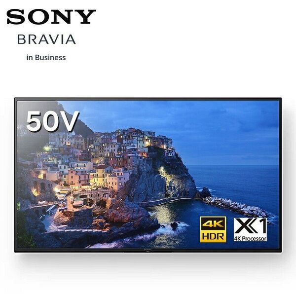 SONY BRAVIA 50V型 4K液晶モニター FW-50EZ20L