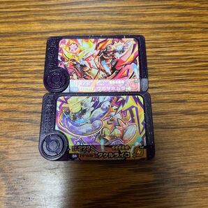 ポケモンフレンダ スーパートレジャー ウガツホムラ&タケルライコ