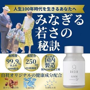 【未使用】RASIX NMN フォーミュラU サプリメント, 1日2粒250㎎,10カプセル,お試しサイズ、 国産