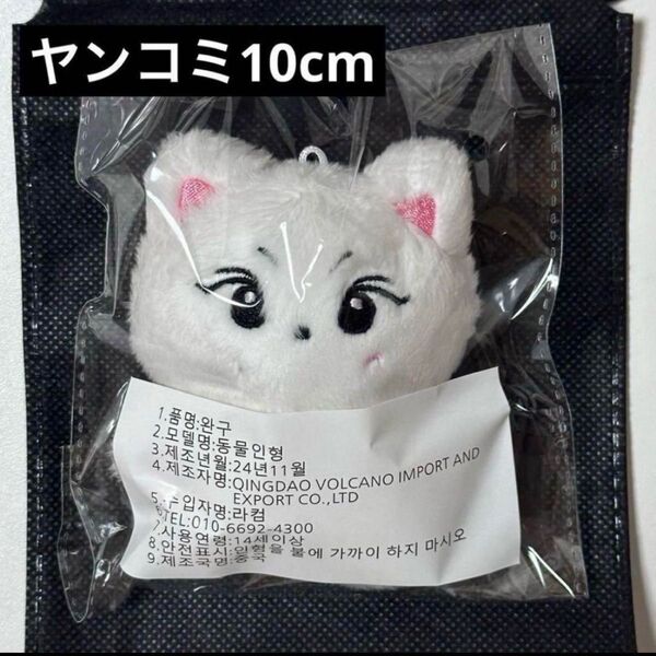 ジョンウォン ぬいぐるみ10cmヤンコミ ENHYPEN チェーン付 ドール doll