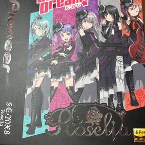 Pioneer ヘッドホン 「Roselia」モデル SE-MX8 BanG Dream! バンドリ