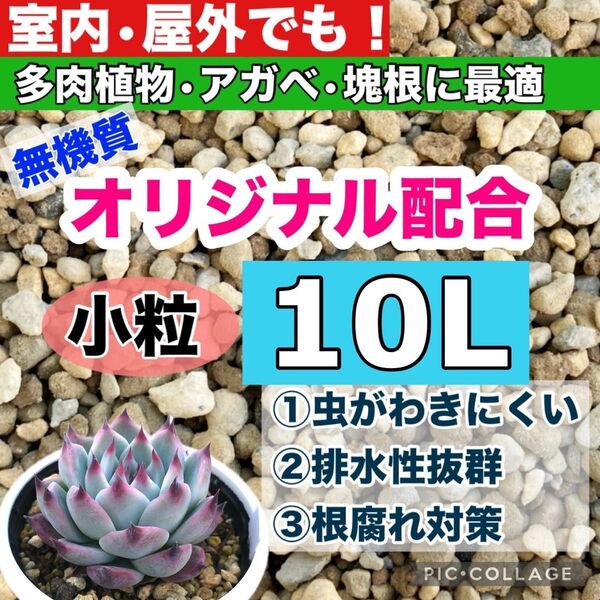 多肉植物 アガベ・塊根植物の土 10リットル