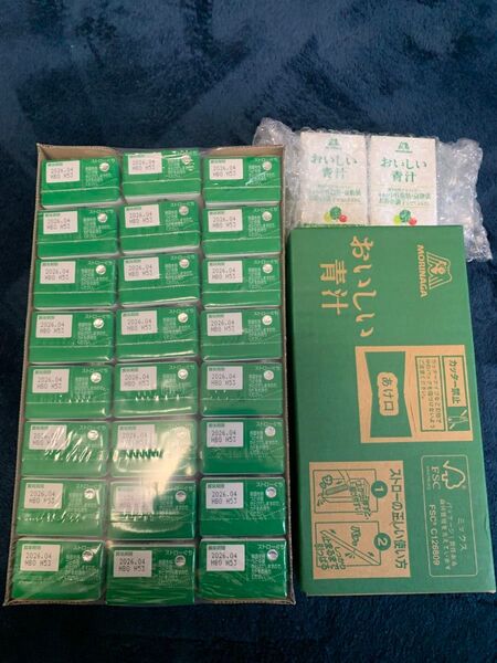 森永製菓 おいしい青汁 38本