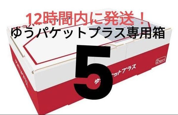 ゆうパケットプラス専用箱 5箱 ラッピング 匿名発送 メルカリ 資材 梱包材 段ボール 箱 ラクマ 郵便局 発送用