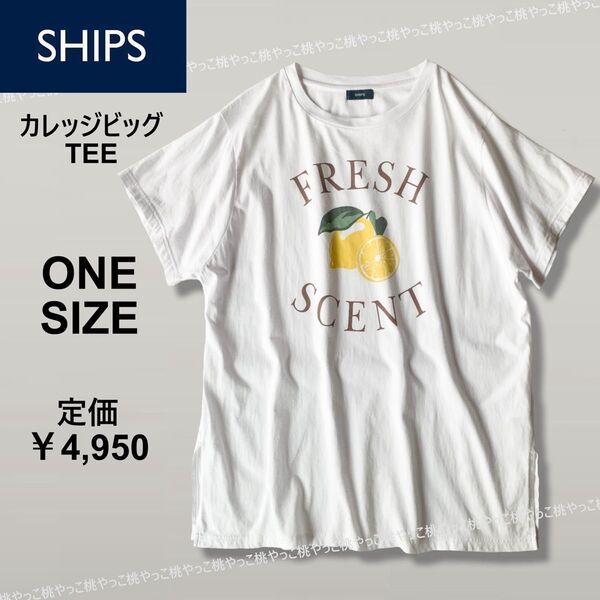 シップス★カレッジ 半袖Tシャツ★白 レモン ロゴ入り コットン100% ビックTEE 春夏 オーバーサイズ