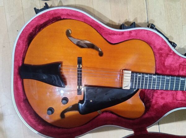 ibanez AFC151 DA