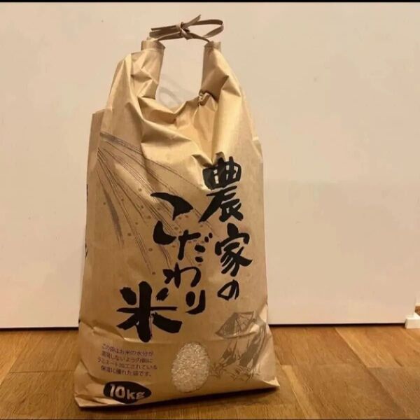石川県 令和6年 コシヒカリ 玄米 10㎏