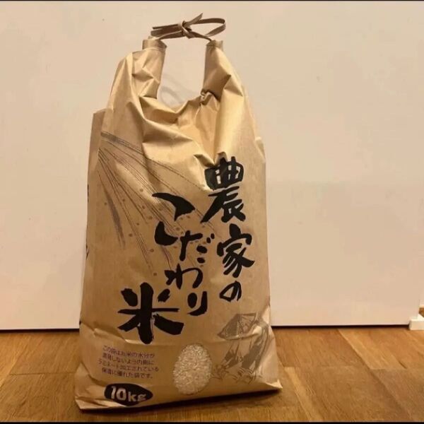 石川県 令和6年 コシヒカリ 玄米10㎏