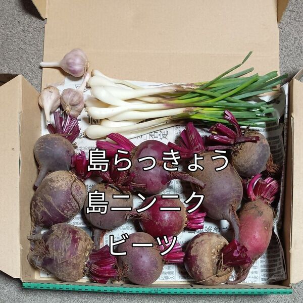 野菜(ビーツ、島らっきょう、島ニンニク)