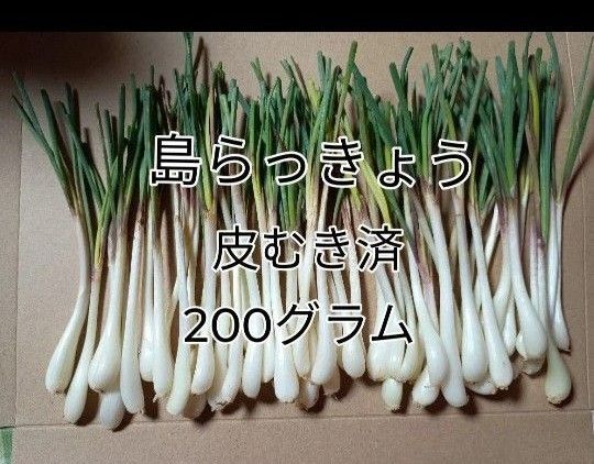 皮むき済 島らっきょう200グラム