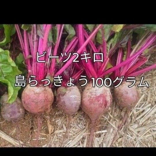 ビーツ2キロ、島らっきょう100グラム2947円→2800円