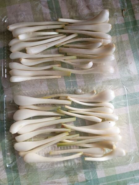 島らっきょう200グラム