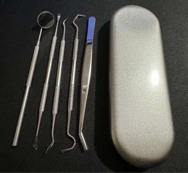 歯科技工 6点セット 歯石取り 歯石 スケーラー デンタルミラー