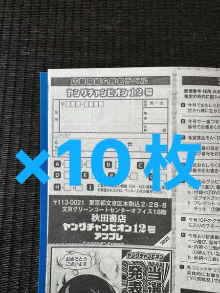 ヤングチャンピオン2025年12号アンプレ 榎原依那 QUOカード応募用紙10枚