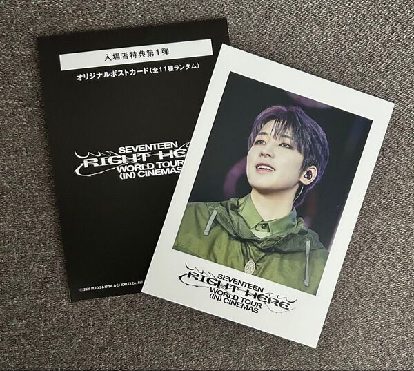 SEVENTEEN セブチ RIGHT HERE 映画 シネマ 入場特典 第1弾 ウォヌ ポストカード