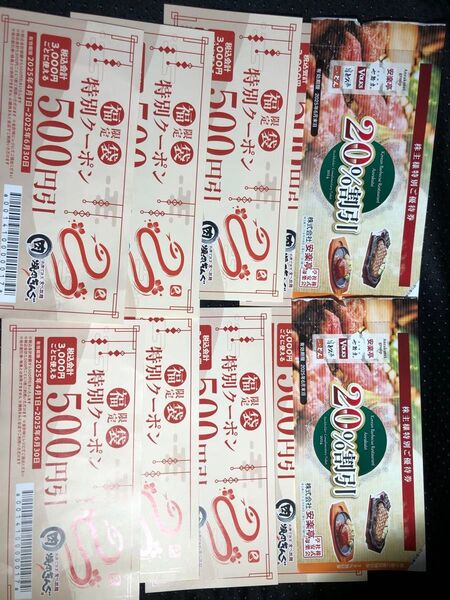 焼肉きんぐ福袋クーポン 4000円分 計8枚×500円券 安楽亭20%券2枚付き!待ち時間で使えなくなるかものクーポンでないです