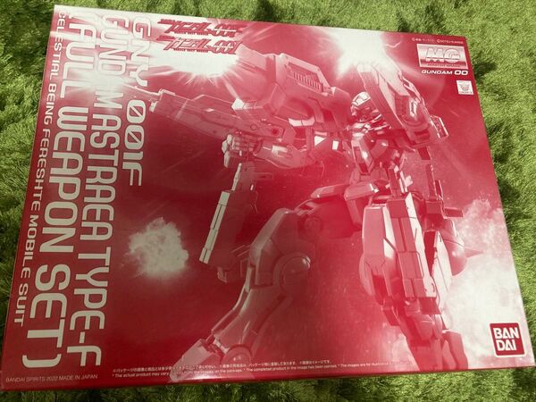 MG ガンダムアストレア TYPE-F(フルウェポンセット) 未組み立て品 ガンプラ アストレア タイプF