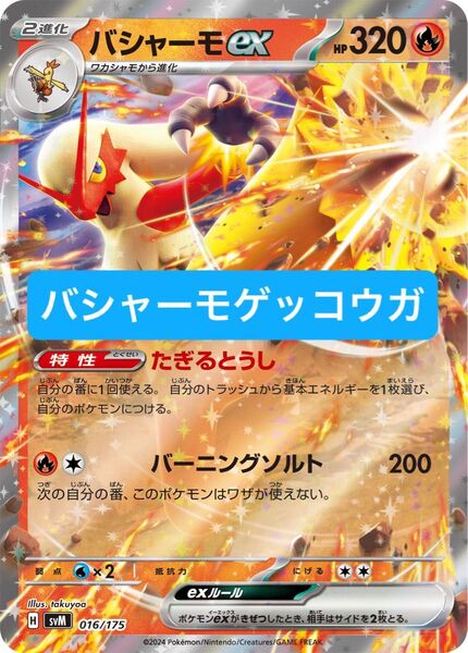 ポケカ ロケット団の栄光環境 バシャーモexデッキ ゲッコウガexデッキ 構築済みデッキ