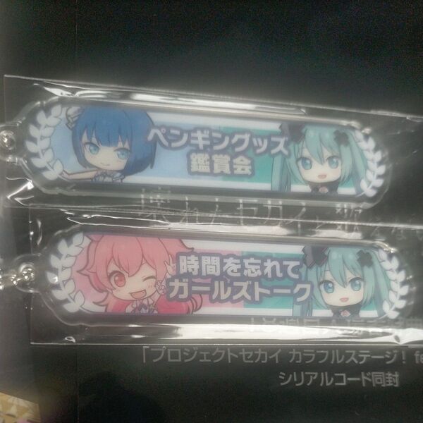 劇場版 プロジェクトセカイ 壊れたセカイと歌えないミク プロセカ カラフルステージ シリアルコードなし キーホルダー