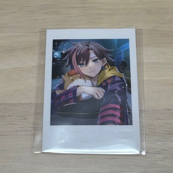 CRAZY RACCOON RANDOM SELFIE CARDCRランダムセルフィカード きなこ セルカ