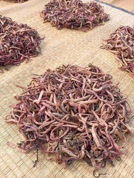 秋田県産乾燥ぜんまい 100g