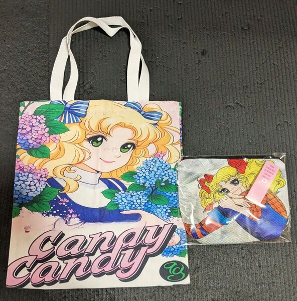 トリフさま 専用 トートバッグとポーチセット♪