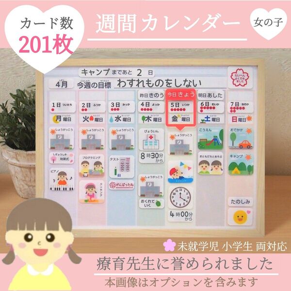 週間予定表 知育 カレンダー スケジュール 絵カード モンテッソーリ 視覚支援 発達 保育教材 ハンドメイド 療育 ST OT