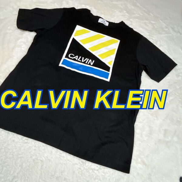 CALVIN KLEIN グラフィックプリント Tシャツ L カルバンクライン CK