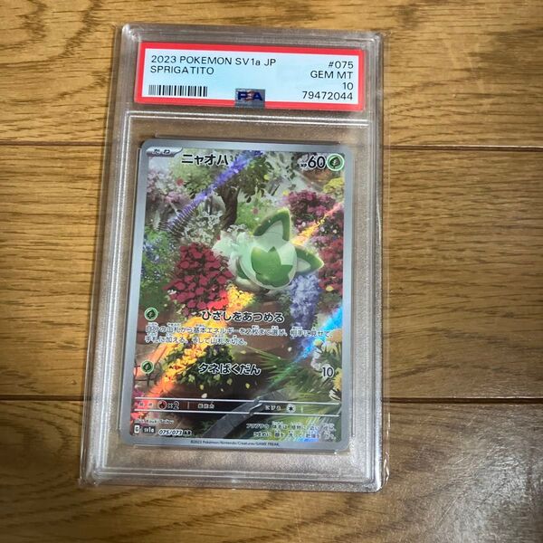 ニャオハ AR PSA10