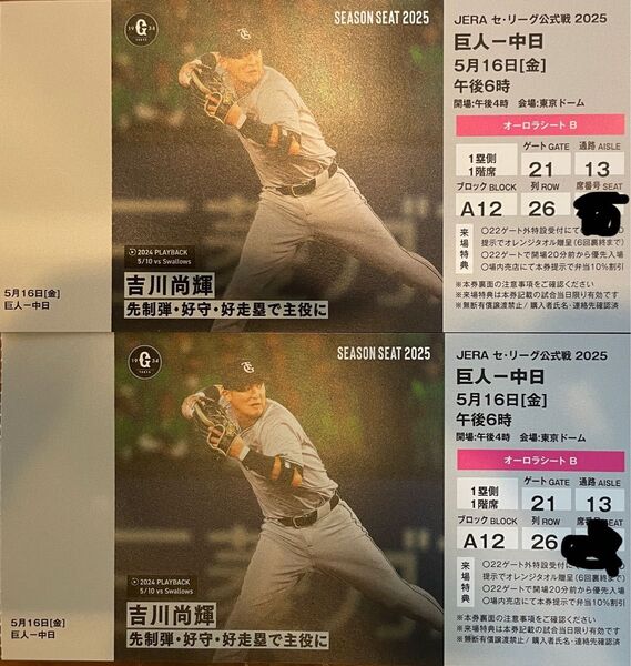 巨人VS中日 オーロラシートB 5/16(金) 18時〜 東京ドーム