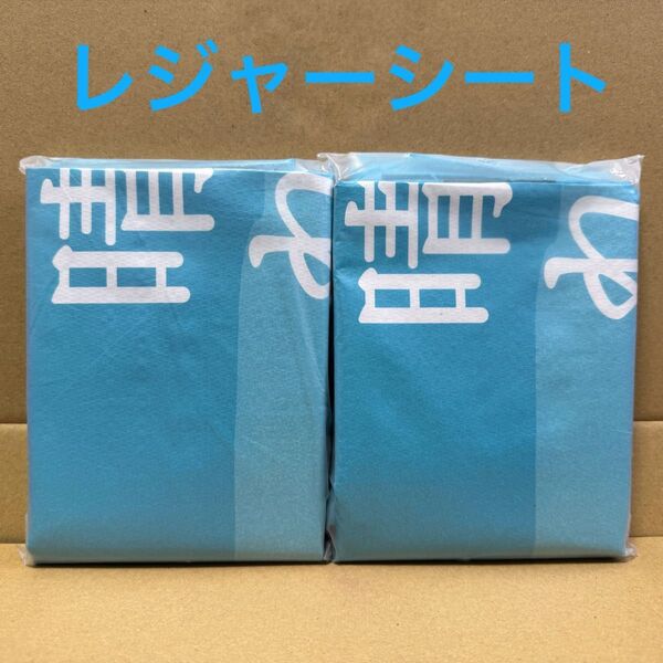 【新品未開封2セット】晴れ風 オリジナルレジャーシート キリンビール 非売品