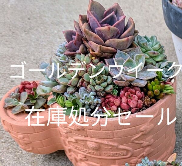 ゴールデンウイーク在庫処分セール☆☆☆
