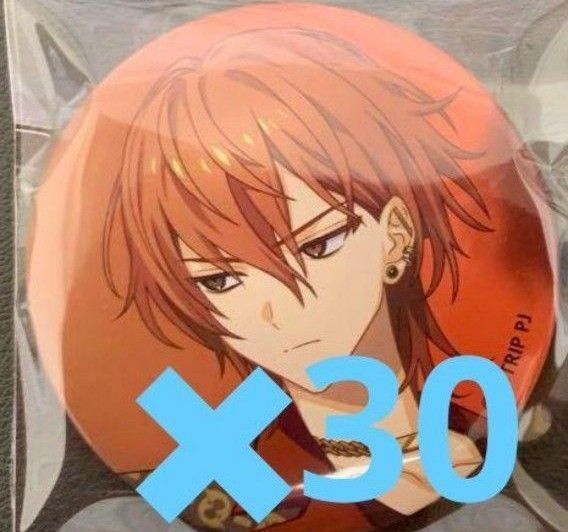 【西園練牙】18TRIP キャラバッジコレクション エイトリ 缶バッジ 30個