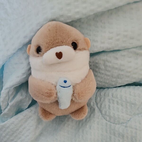 カワウソ ぬいぐるみ