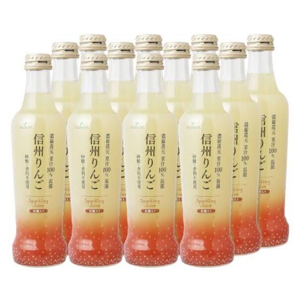 スパークリングジュース「混濁果汁炭酸入り信州りんご100%」270ml×12本
