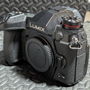 Panasonic LUMIX G9pro+12-60レンズ