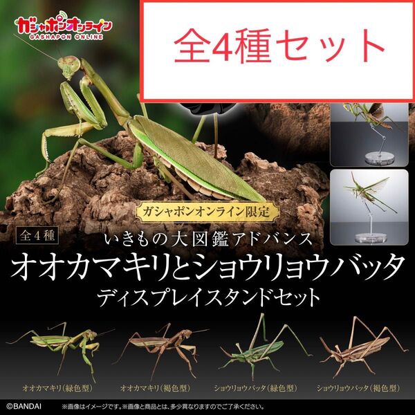 いきもの大図鑑アドバンス オオカマキリとショウリョウバッタ ディスプレイスタンドセット オンライン版 全4種セット