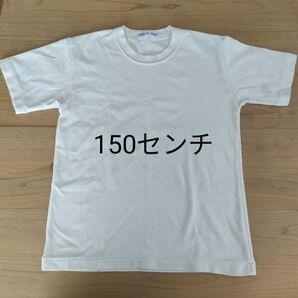 半袖Tシャツ 150センチ 半袖 体操