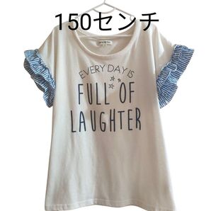 Tシャツ カットソー 半袖カットソー 白 150センチ