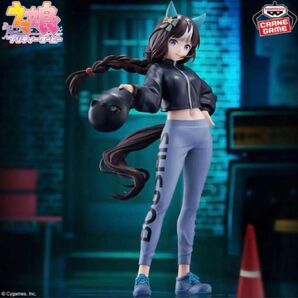 ウマ娘 プリティーダービー BoC'z ホッコータルマエ as MACOtMai