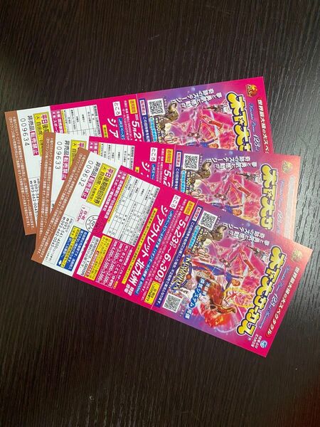 木下大サーカス 北九州 自由席招待券 3枚 土曜日も無料