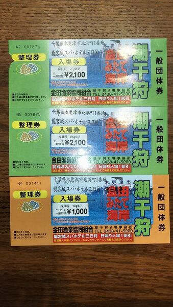 金田みたて海岸 潮干狩り 入場券 大人2枚&こども1枚