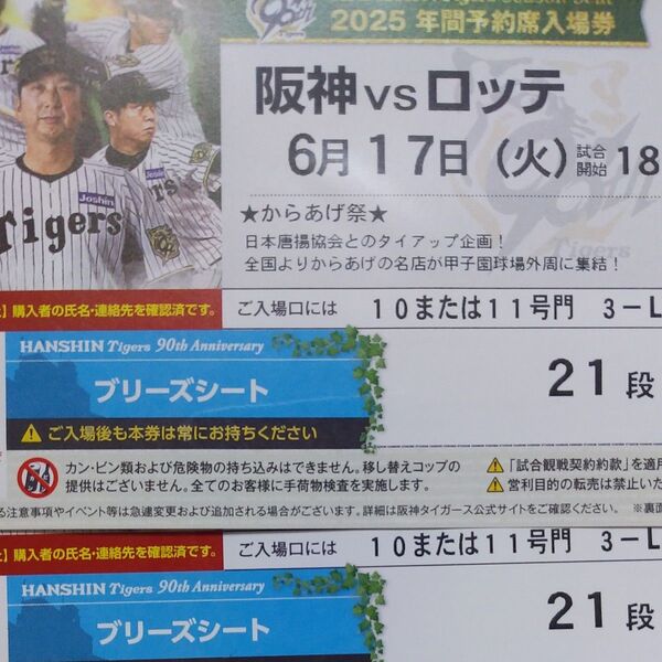 6月17日阪神タイガース甲子園球場 ロッテ戦