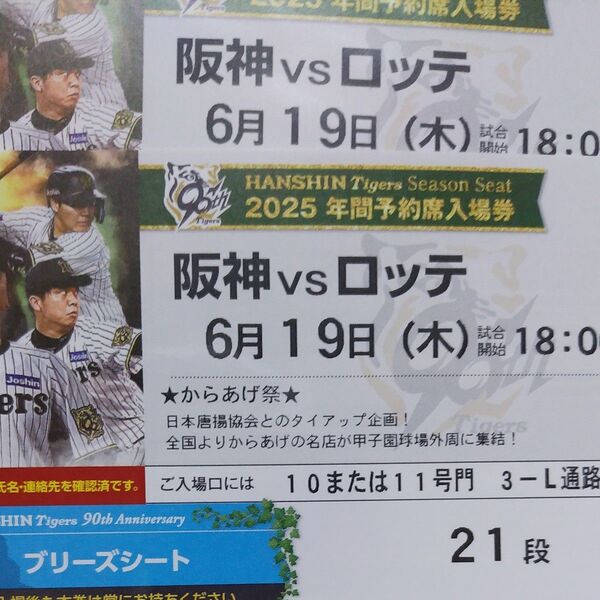 6月19日阪神タイガース甲子園球場 ロッテ戦