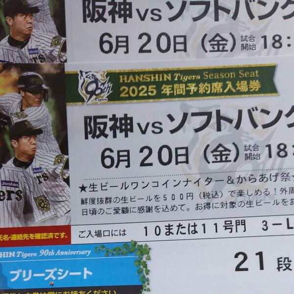 ラリー様 専用 阪神タイガース甲子園球場6月20日